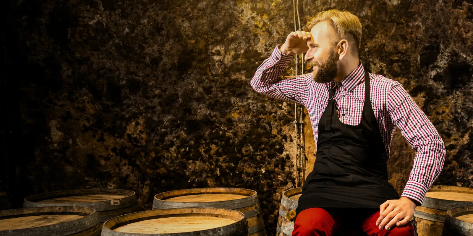 Wine Jobs UK Find the Latest Wine Jobs in the UK.